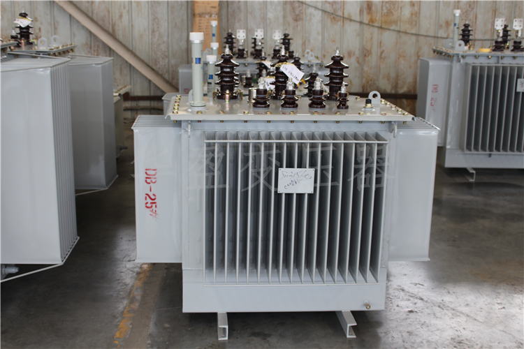 景德镇S20-800kVA/10kV/0.4kV变压器